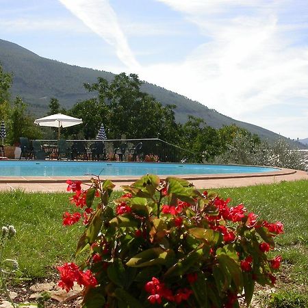 Agriturismo I Mandorli 特雷维 外观 照片