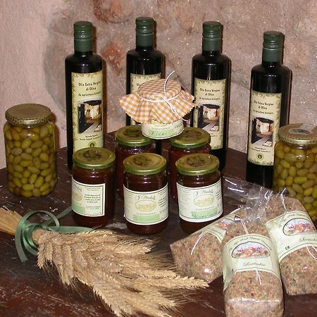 Agriturismo I Mandorli 特雷维 外观 照片