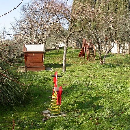 Agriturismo I Mandorli 特雷维 外观 照片