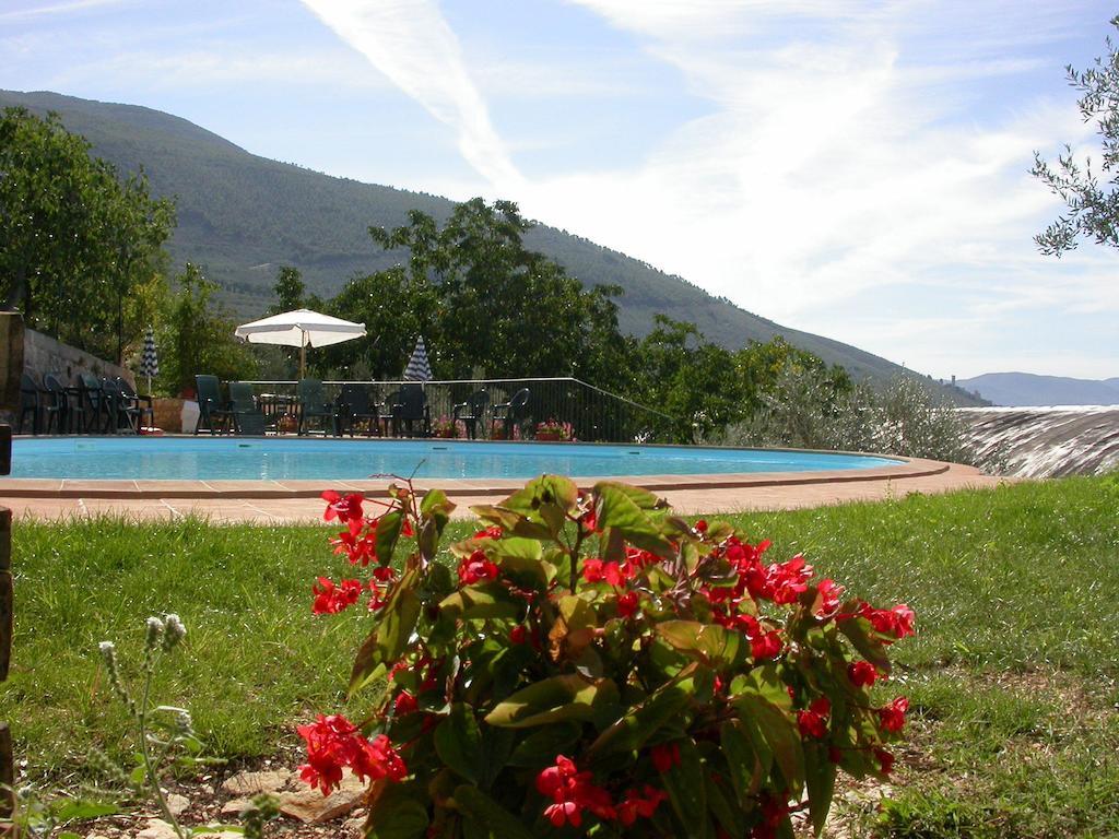 Agriturismo I Mandorli 特雷维 外观 照片