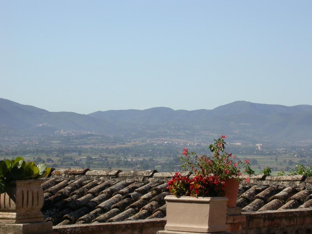 Agriturismo I Mandorli 特雷维 外观 照片