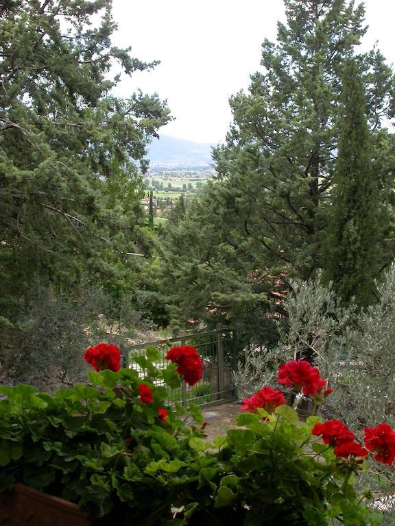 Agriturismo I Mandorli 特雷维 外观 照片