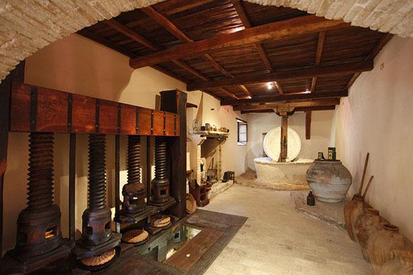 Agriturismo I Mandorli 特雷维 外观 照片