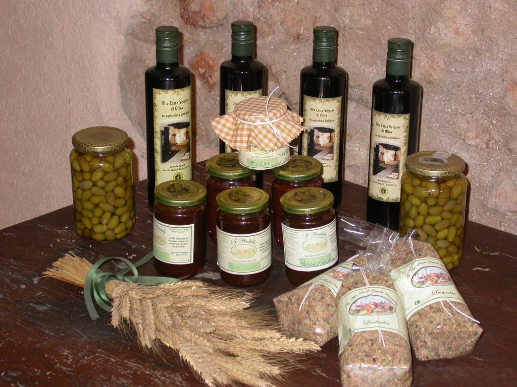 Agriturismo I Mandorli 特雷维 外观 照片
